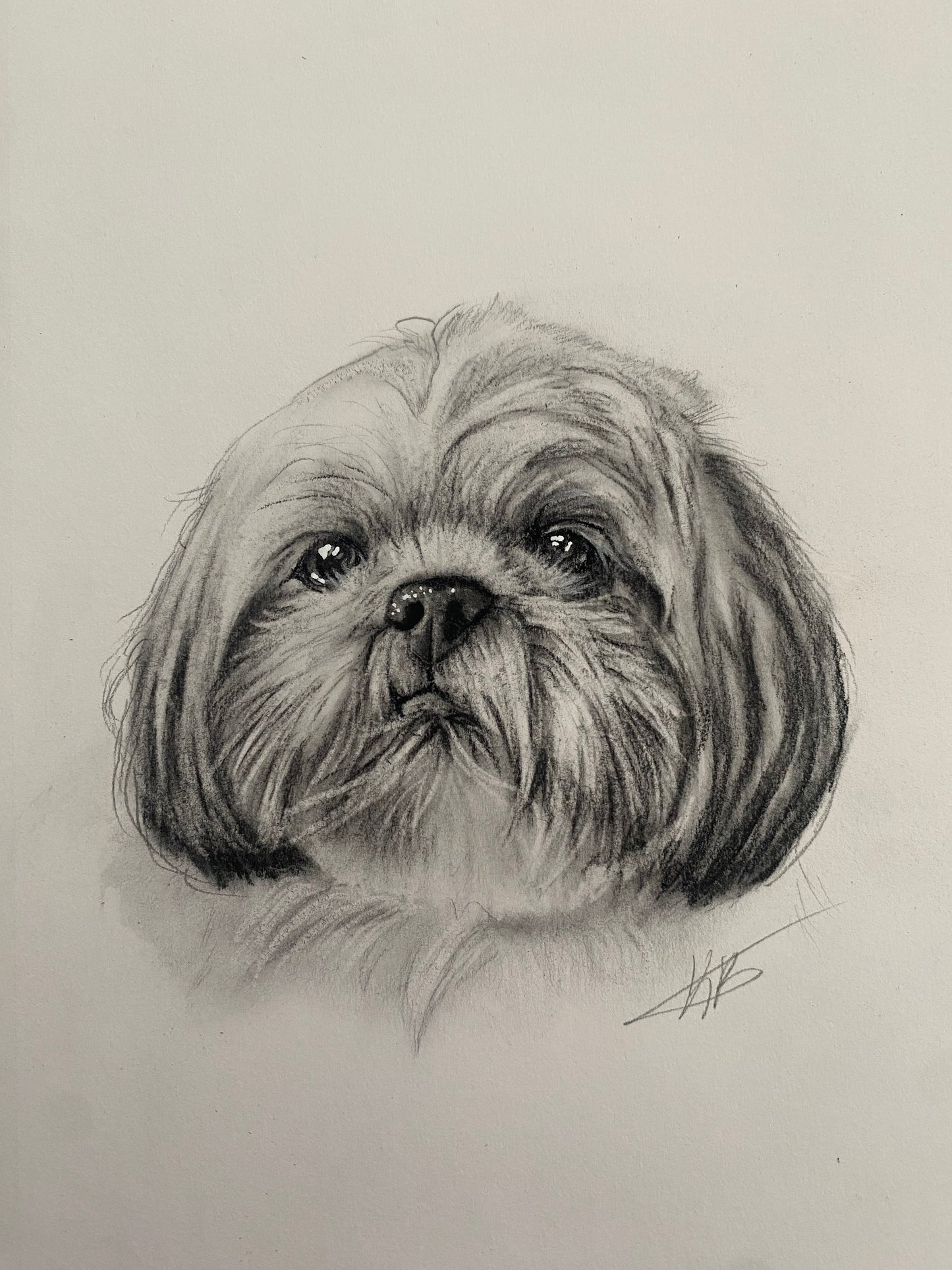 Mini Pet Portrait (Read description before ordering)